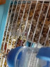 威毕仓鼠自动喂食器用品荷兰猪兔子龙猫金丝熊刺猬小型防翻食盆食盒 亚克力仓鼠食盒小号 实拍图