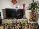 三思植物补光灯仿太阳室内全光谱展翅植物生长灯多肉LED补光灯鱼缸灯 【带调节支架】60W全光谱 实拍图