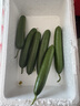 京鲜生 山东水果黄瓜＆圣女果组合 净重3斤 新鲜蔬菜 小番茄 源头直发 实拍图