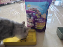 伟嘉猫粮成猫幼猫粮营养全面 幼猫海洋鱼味1.2kg 实拍图