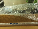 飞利浦（PHILIPS）T5三基色老式荧光灯直管格栅灯管细管TL5荧光灯（非LED灯管） T5三基色0.86米21W暖光/830【1支】 实拍图
