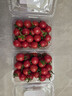 京鲜生 大程鑫农场千禧小番茄净果2斤盒装 新鲜蔬菜圣女果 源头直发 实拍图
