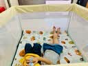 M-CASTLE婴儿围栏地上免安装爬爬垫护栏客厅围栏一键折叠室内儿童游戏乐园 游乐园|免安装|不占空间 长1.3米*宽1.3米*高66cm 实拍图