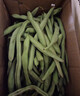 农家四季豆新鲜现摘云南长扁豆角农家应当季蔬菜芸豆现摘菜豆 新鲜四季豆2斤带箱 实拍图