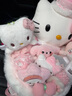 AWHAHelloKitty玩偶花束库洛米卡通毛绒玩偶花束生日礼物送女朋友 生日帽hellokitty玩偶花束+礼袋灯串 实拍图