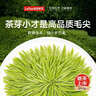 乐品乐茶明前特级毛尖绿茶2026新茶嫩芽春茶自己喝茶叶礼盒装250g送长辈 实拍图