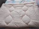 水星家纺被子春秋被秋冬被子被芯抗菌纤维被褥约3.1斤150*210cm粉 实拍图