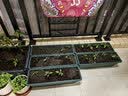 原起点50cm加大阳台种菜箱长方形塑料花盆户外蔬菜种植神器室外花箱花槽 【加厚】单层2联箱(100*40*21） 实拍图