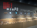 公牛（BULL）意标旅行电源转换器插座/转换插头 适合意标地区（意大利 智利 叙利亚 乌拉圭等） GN-905T无开关 实拍图