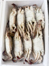 【冷冻】至鲜梭子蟹2.6斤/6-8只整只当季液氮冷冻3-5两/只吕四黄海海鲜螃蟹新鲜 实拍图