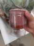 【绿萝盆栽】吸甲醛净化空气水培绿植物懒人花卉好养搬家礼物全 【畅销5盆】绿萝+轻奢灰色繁星吸水盆 整体含盆高度20-25cm 实拍图
