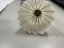 亚狮龙RSL羽毛球5号鹅毛球12只装/桶耐打稳定比赛训练羽毛球SK.NO.5 晒单实拍图