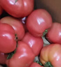 京鲜生 山东普罗旺斯番茄 净重4.5斤 单果125g+ 沙瓤西红柿 源头直发 实拍图