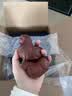 藏壶天下宜兴紫砂壶名家国工纯全手工刻绘泡茶壶原矿底槽清湖帆相明石瓢壶 相明石瓢 290ml 实拍图