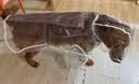 Lanswood 狗狗雨衣中大型犬宠物雨衣泰迪柴犬小型犬柯基金毛雨披防水透明 白边透明雨衣 8XL(建议50-70斤背长70cm） 实拍图