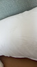 水星家纺枕头枕芯酒店枕头护颈枕头芯家用单个纯棉抗菌可水洗高枕48x74cm 实拍图
