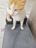领先烘焙猫粮鲜鸡肉羊奶低温幼猫成猫猫粮6.18kg（1.5kg*4+180g） 实拍图