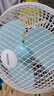 澳柯玛金属网电风扇/办公室迷你小风扇/风扇宿舍台式桌面床头夹式大号/家用电扇台扇/小夹扇/壁扇G613 实拍图