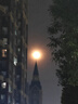 天官赐福【七夕礼物】黄金小马手机挂件钥匙扣马上有钱0.02g(带证书) 实拍图