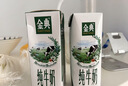 伊利金典纯牛奶 250ml*12盒 3.6g乳蛋白原生高钙 礼盒装 实拍图