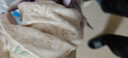 七采雏菊【裤腿可开】春秋婴儿套装纯棉新生儿贴身衣服偏襟宝宝秋衣裤打底 卡其色 常规 卡其花丛兔-偏扣套装 80 （19-23斤合适） 实拍图