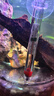 派乐特 鱼缸温度计高精度缸内潜水探头水温计水族专用 玻璃温度计 实拍图