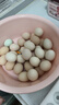 京鲜生 无抗保洁鲜鸡蛋30枚/盒 健康轻食 礼盒送礼 1.5kg/盒 源头直发 实拍图