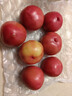 京鲜生 山东普罗旺斯西红柿 净重3斤 单果125g起 沙瓢番茄 源头直发 实拍图