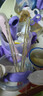 贝因美婴儿筷子训练筷一岁宝宝虎口学习筷1-2-3-4-6岁PPSU儿童辅助餐具 实拍图