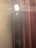 山力士C1500led工作灯汽修维修全地形强光露营灯营地灯照明灯户外 C1500pro军绿色+三脚架+包 1 实拍图