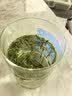 一杯香茶叶绿茶贵州湄潭明前头采雀舌芽头250g2026新茶礼盒装自己喝散装 实拍图