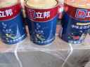 立邦乳胶漆儿童漆墙面漆防霉抗醛升级24h入住净味抗污 15L/约21KG套装 实拍图