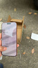 Apple/苹果 iPhone 17 Pro Max 手机 新机【需现场签收激活】5G 双卡双待新品 支持白条分期 星宇橙色 256G【需现场签收激活】 官方标配【官方正品】 实拍图