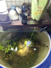 坤宁王鱼缸灯led灯南美鱼缸专用射灯溪流造景水草灯小型照明灯3色变焦3w 实拍图