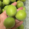 志褚 新鲜青梅鲜果 高山福建诏安青梅果鲜酸脆梅子泡酒青梅酵素 青梅【特大果5斤】 实拍图