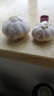 紫白皮蒜水果大蒜超市即食生鲜蔬菜大蒜 【优选】净重0.8斤 单果3.5-5cm 实拍图