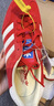 阿迪达斯（adidas）（adidas）三叶草男女鞋GAZELLE INDOOR低帮休闲鞋IF1808红白39 实拍图