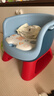 日康（rikang）宝宝餐椅 叫叫椅婴儿学坐椅多功能儿童吃饭餐桌 RK-X2009-1 蓝色 实拍图