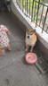 网易严选犬粮 全价三拼鸭肉梨狗粮中大型幼犬成犬去泪痕泰迪10kg 实拍图