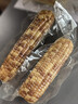 十月稻田 黄糯玉米 1根 220g 东北粘玉米棒 低脂早餐 杂粮粗粮 实拍图