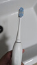 松下电动牙刷磁悬浮声波震动小彩刷3.0软毛抗菌长续航学生成人生日礼物送男女士DC031白 实拍图