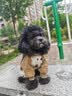 嬉皮狗狗狗防尘裤小型犬防脏防尿防水四脚衣服冬天腿套 S码 实拍图