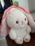 尚韵儿童情人节新年生日礼物女生草莓兔子玩偶娃娃毛绒玩具女孩公仔 实拍图
