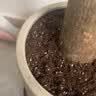 德沃多植物营养土通用80L园艺种菜花卉蔬菜盆栽养花土壤有机基质 实拍图