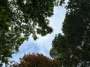 斯凯奇（Skechers）奶茶熊女鞋春厚底老爹鞋软底百搭熊猫鞋休闲运动鞋149238 实拍图