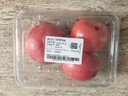 番茄约500g 实拍图