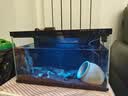 米家智能生态鱼缸定时喂食智能鱼缸+画法几何增氧泵套装 实拍图