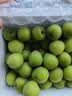 志褚 新鲜青梅鲜果 高山福建诏安青梅果鲜酸脆梅子泡酒青梅酵素 青梅【大果5斤】 实拍图