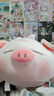 名创优品（MINISO）小猪B-BO翅膀款趴毛绒公仔玩具玩偶抱枕娃娃靠枕生日礼物女 实拍图