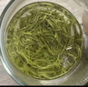 乐品乐茶茶叶特级毛尖绿茶明前春茶嫩芽2026新茶自己喝礼盒装送礼袋250g 实拍图
